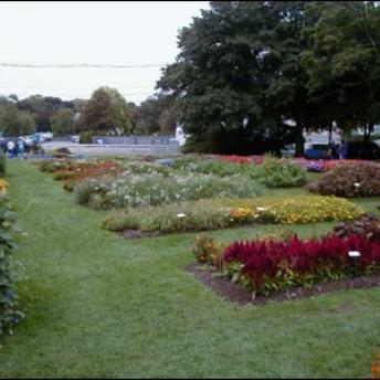 The “Trial Gardens” With Hundreds Of Plant Varieties